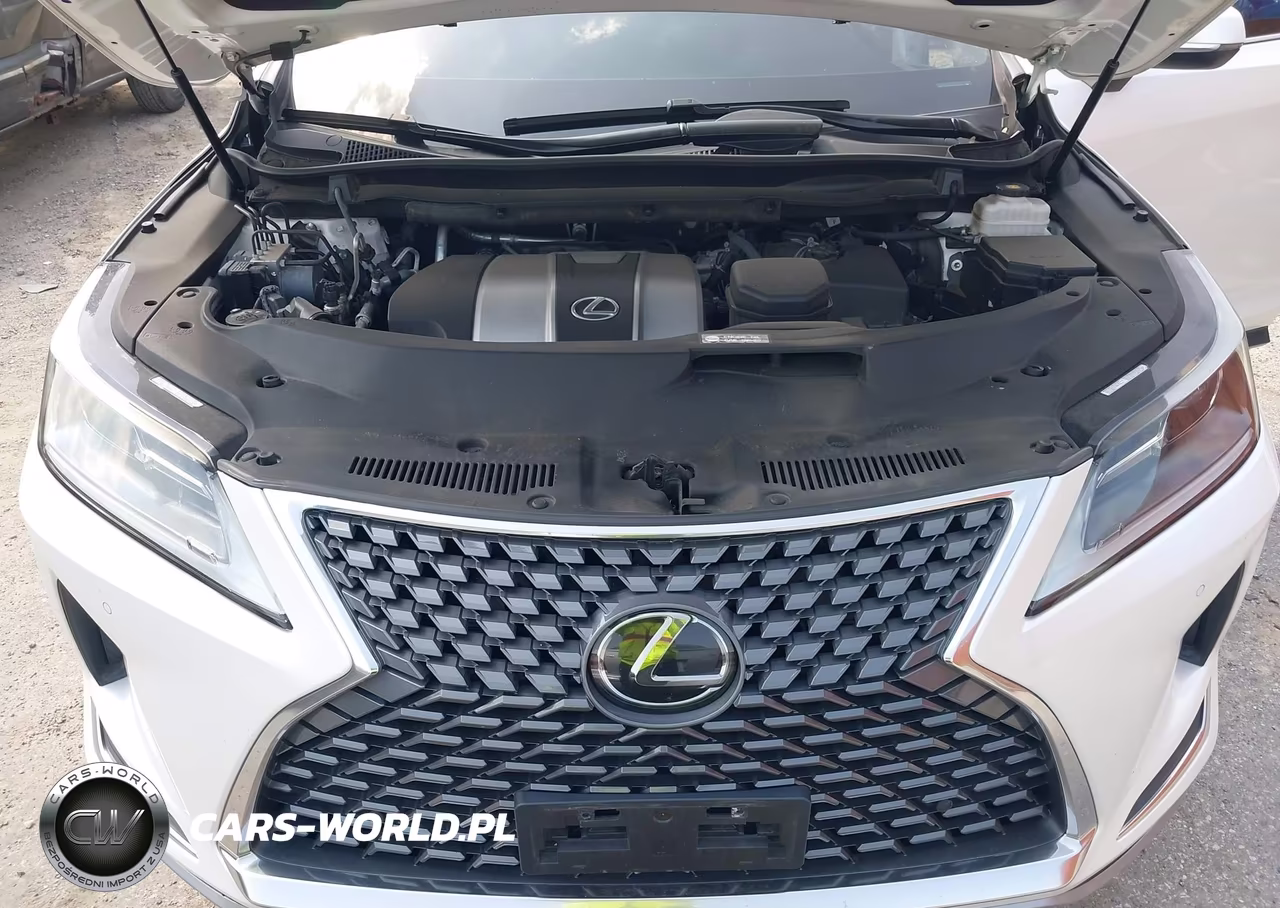 2021 Lexus Rx 350 VIN:2T2HZMDAXMC285641 - 10