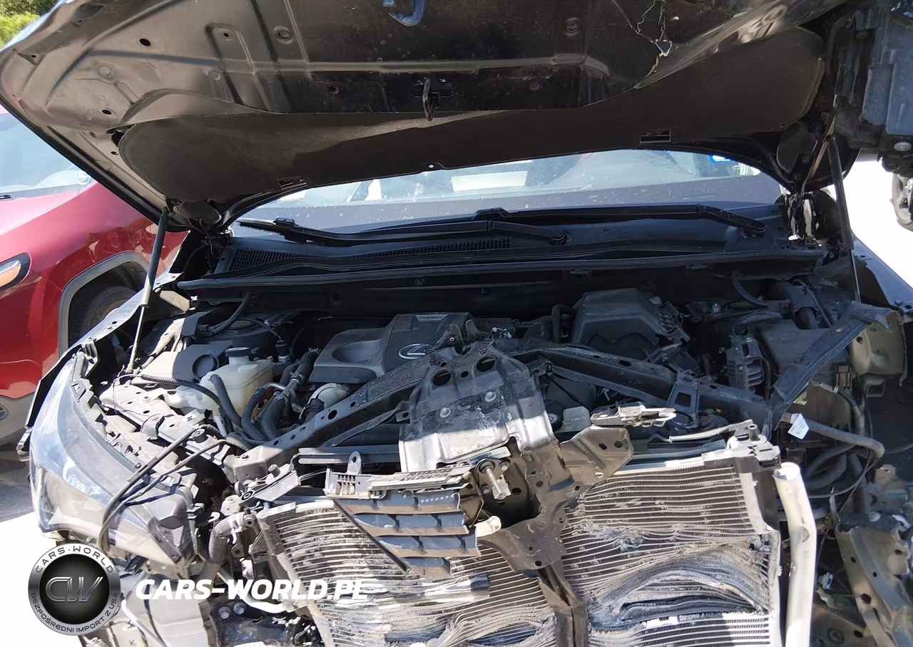 2020 Lexus Nx 300 VIN:JTJDARBZ0L2159038 - 10