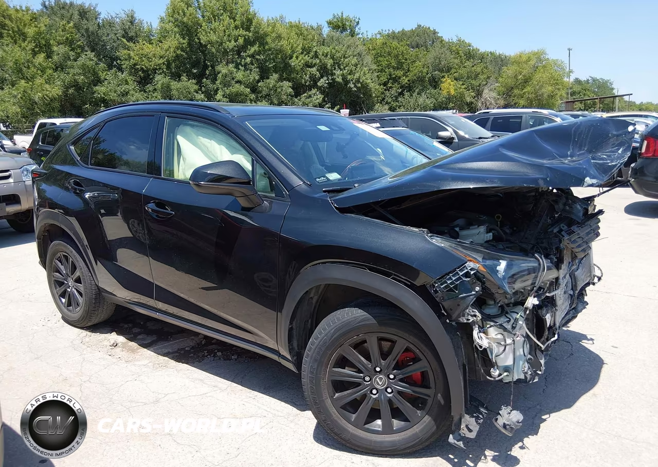 2020 Lexus Nx 300 VIN:JTJDARBZ0L2159038 - 17
