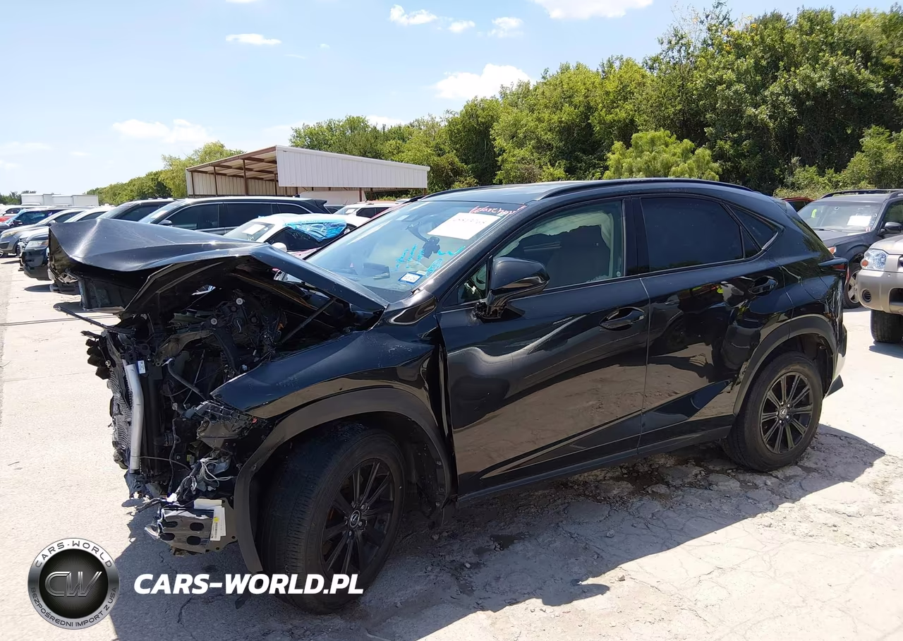 2020 Lexus Nx 300 VIN:JTJDARBZ0L2159038 - 18