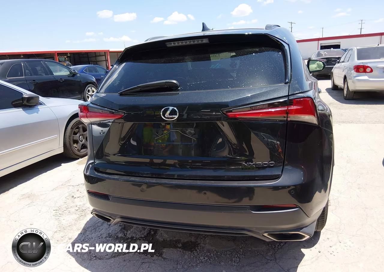 2020 Lexus Nx 300 VIN:JTJDARBZ0L2159038 - 20