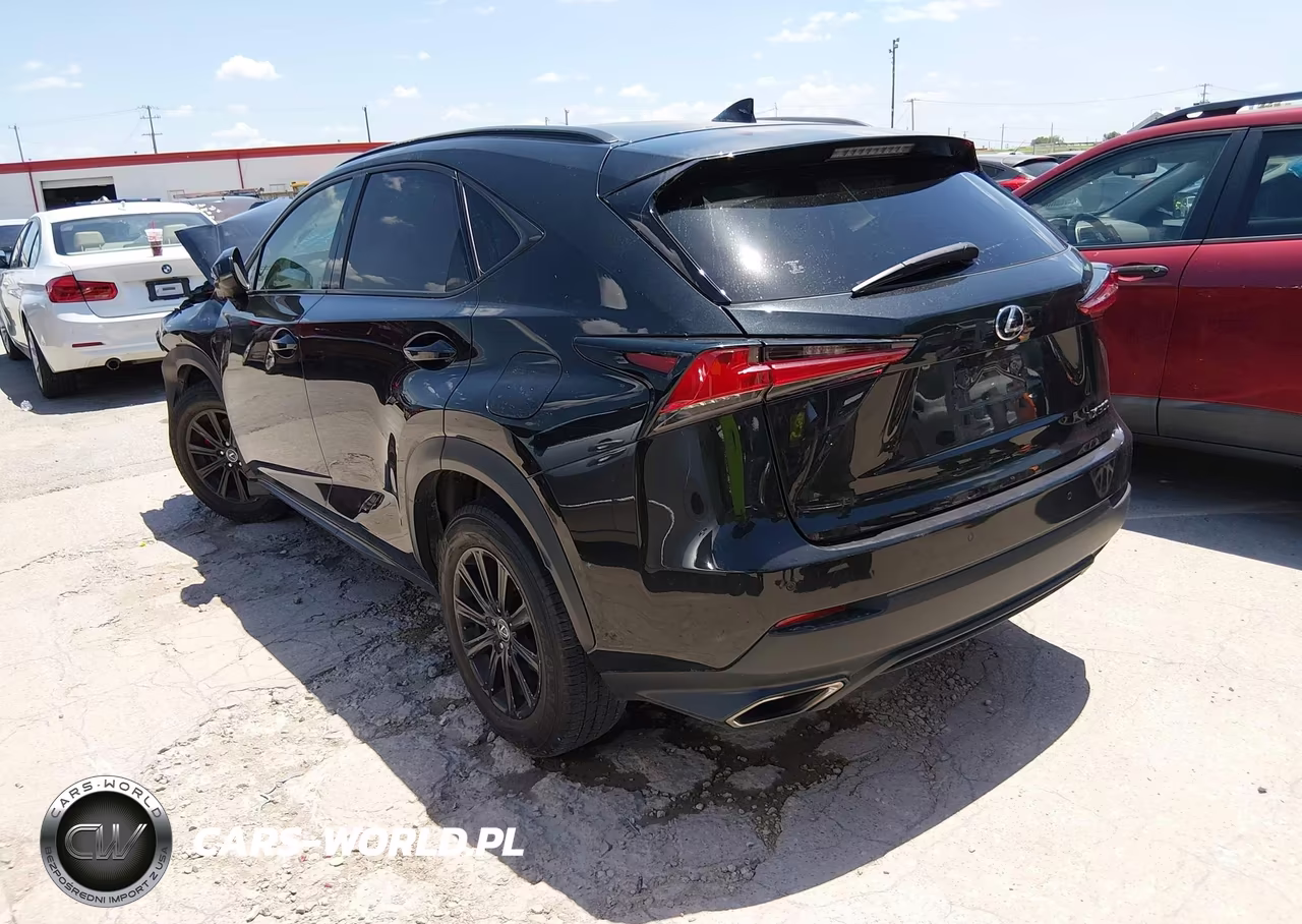 2020 Lexus Nx 300 VIN:JTJDARBZ0L2159038 - 3