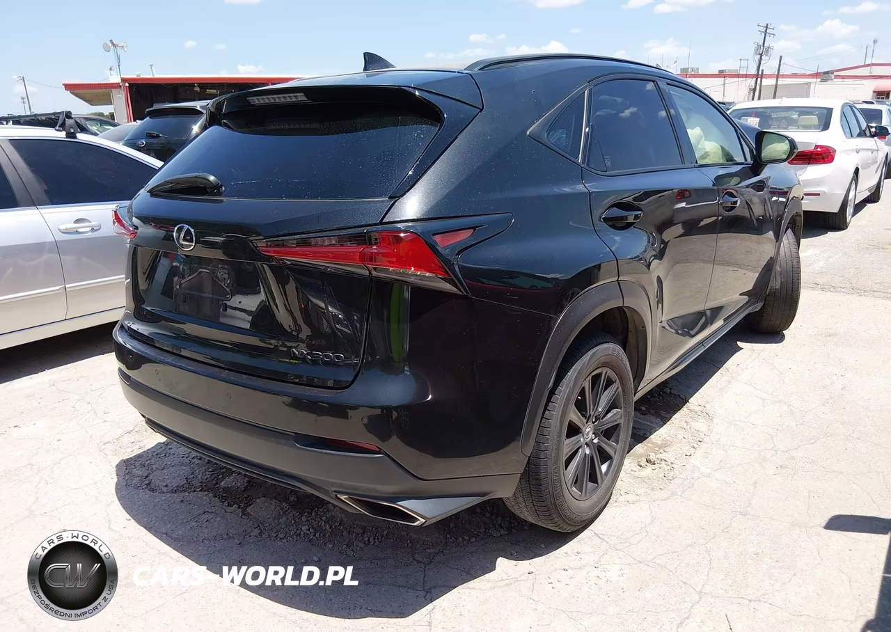 2020 Lexus Nx 300 VIN:JTJDARBZ0L2159038 - 4