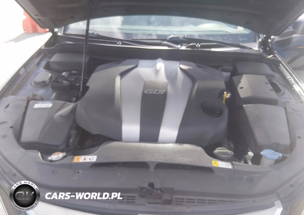 2014 Hyundai Genesis 3.8L VIN:KMHGC4DD0EU259626 - 10