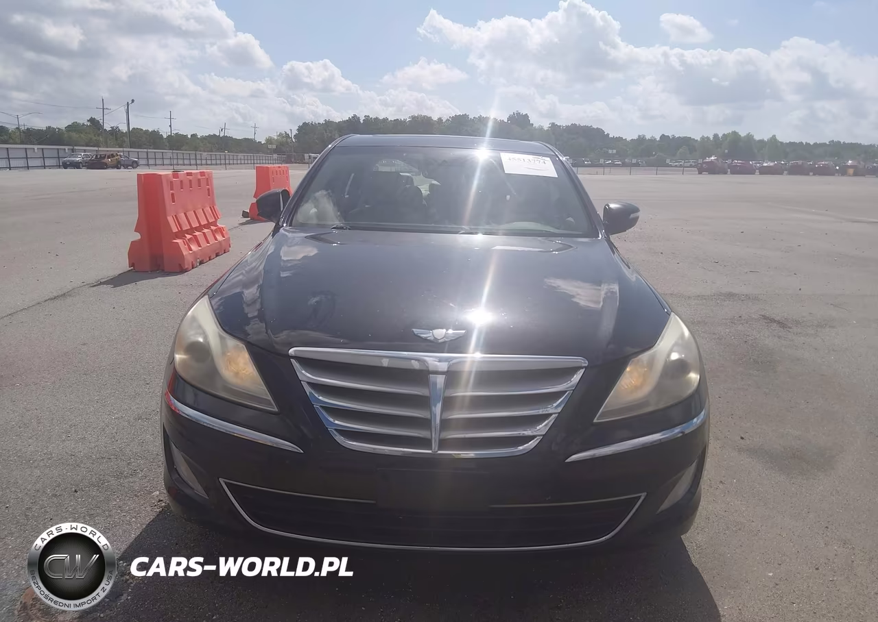 2014 Hyundai Genesis 3.8L VIN:KMHGC4DD0EU259626 - 12