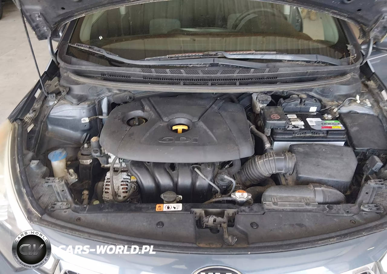 2016 Kia Forte Lx VIN:KNAFK5A88G5648816 - 10