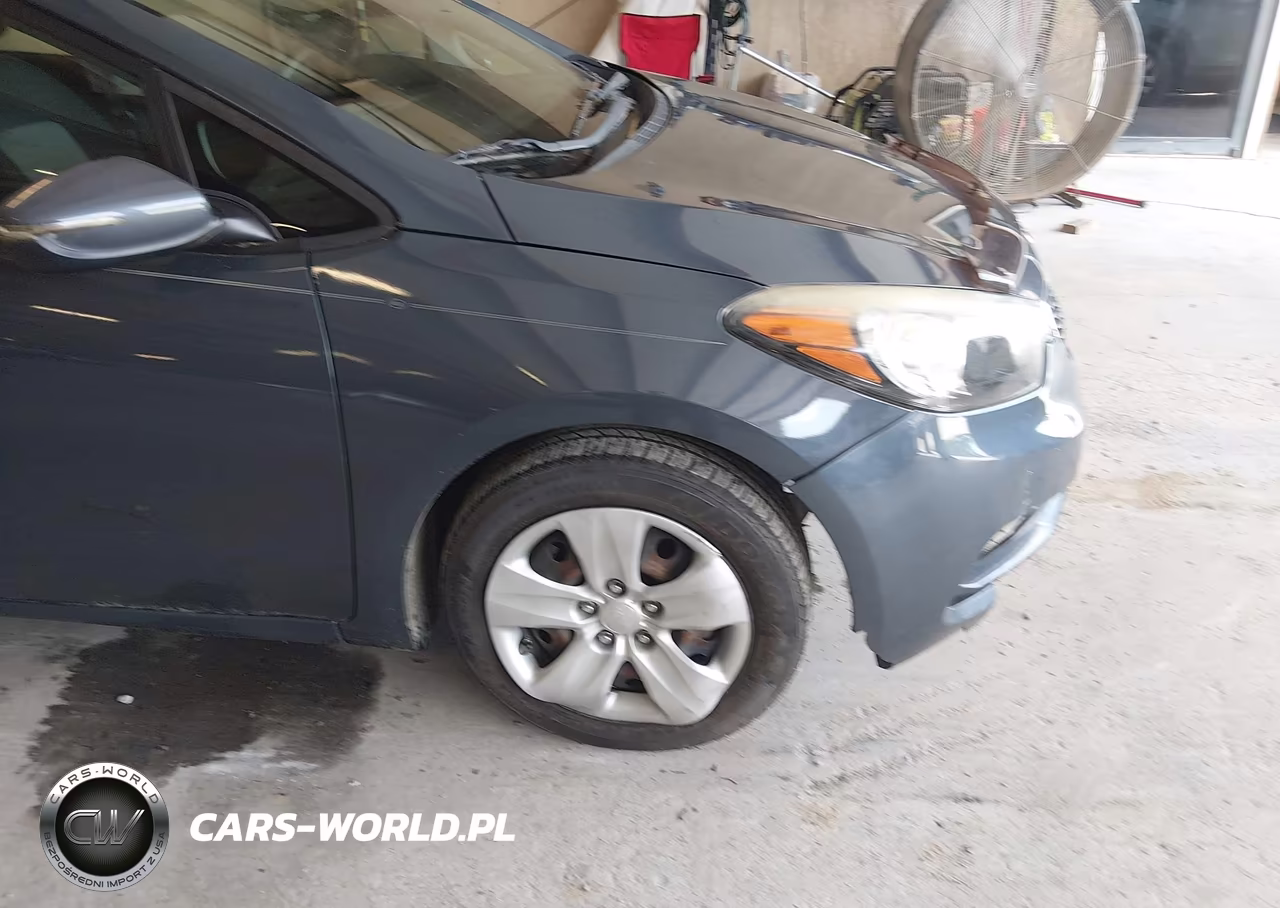 2016 Kia Forte Lx VIN:KNAFK5A88G5648816 - 12