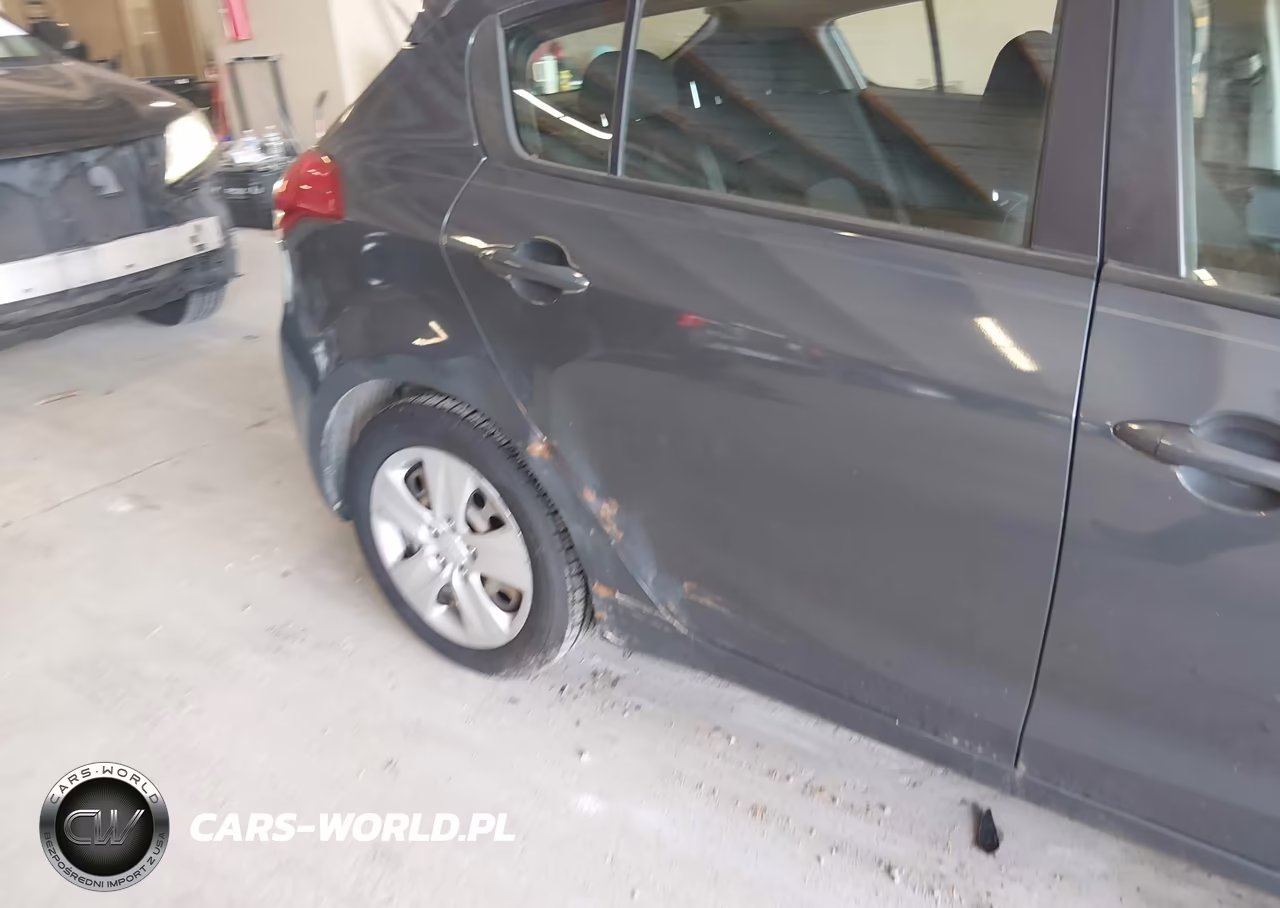 2016 Kia Forte Lx VIN:KNAFK5A88G5648816 - 13