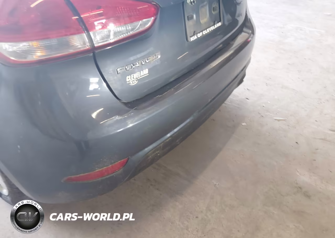 2016 Kia Forte Lx VIN:KNAFK5A88G5648816 - 14