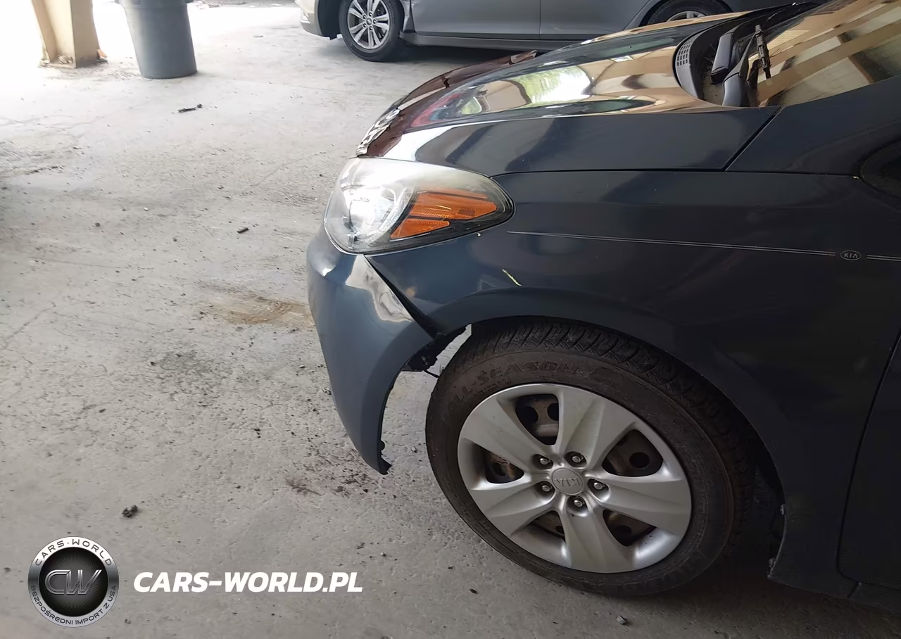 2016 Kia Forte Lx VIN:KNAFK5A88G5648816 - 15