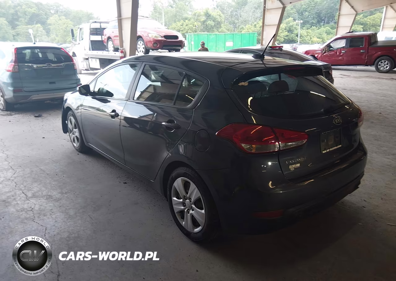 2016 Kia Forte Lx VIN:KNAFK5A88G5648816 - 3