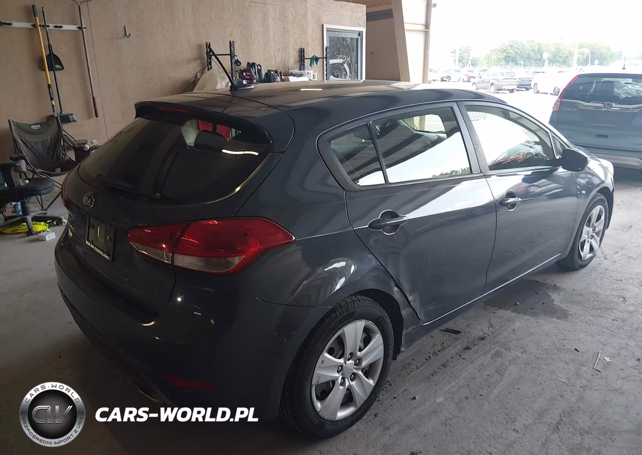 2016 Kia Forte Lx VIN:KNAFK5A88G5648816 - 4