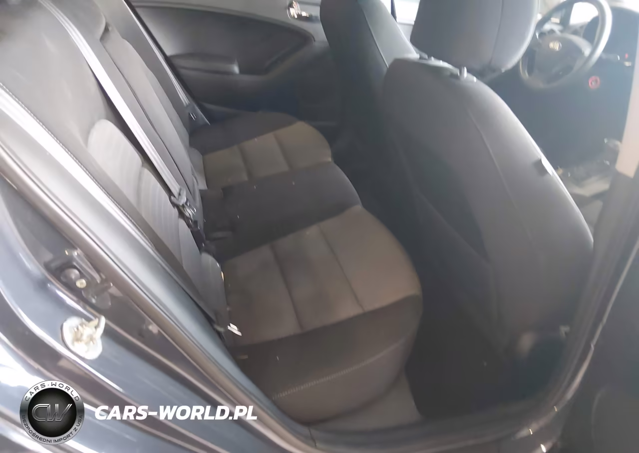 2016 Kia Forte Lx VIN:KNAFK5A88G5648816 - 8