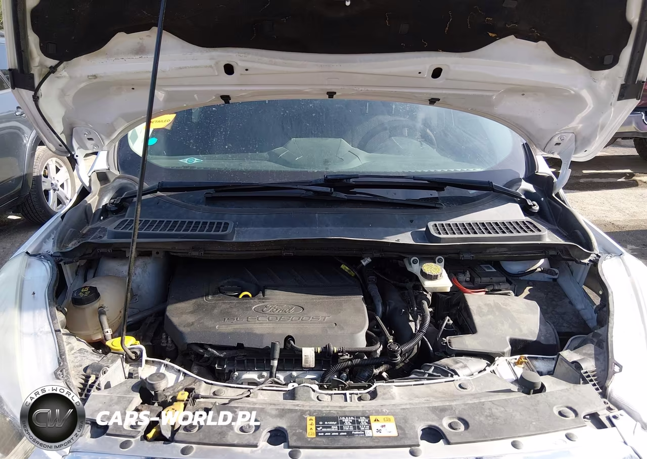 2017 Ford Escape Se VIN:1FMCU0GD3HUA37702 - 10