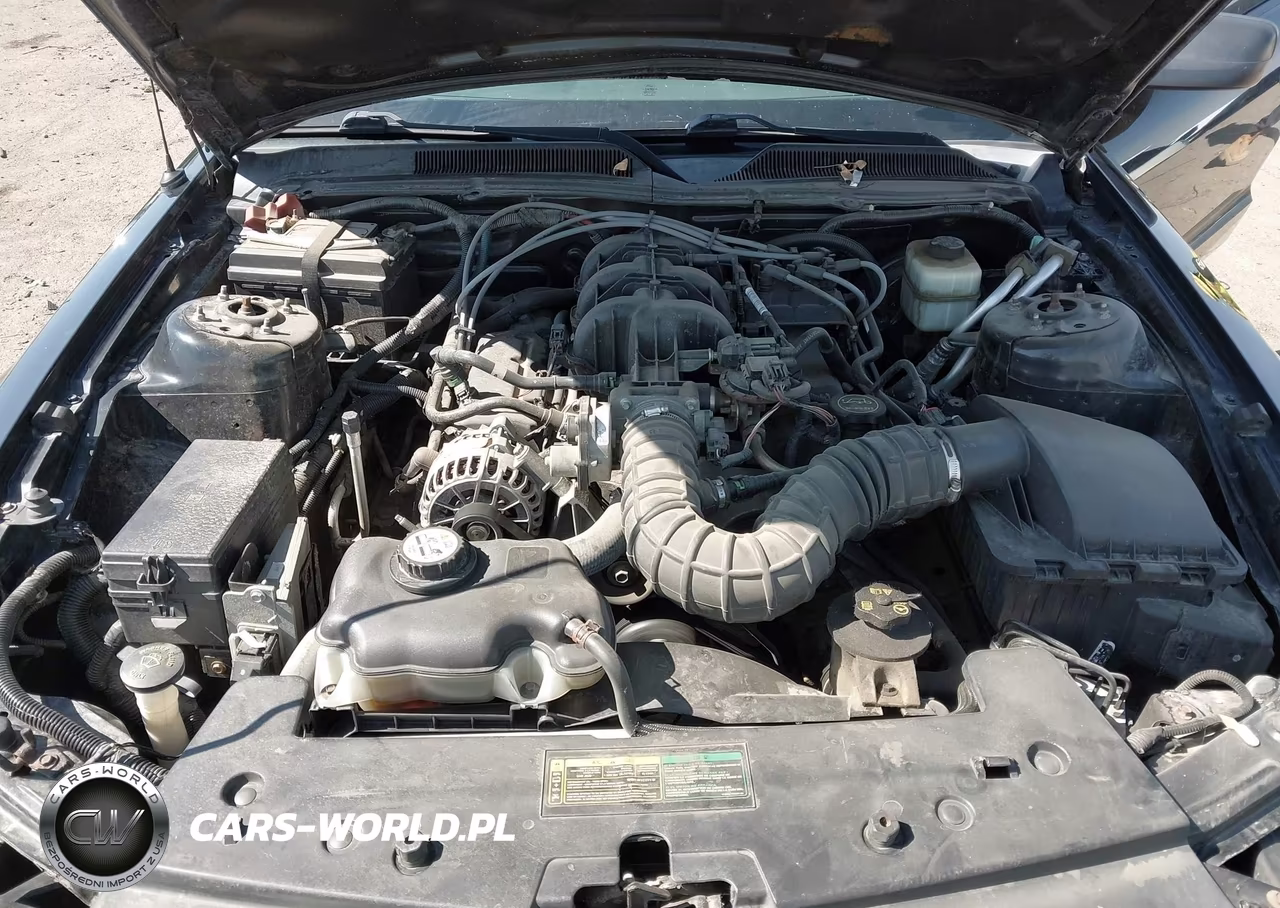 2008 Ford Mustang V6 Deluxe-V6 Premium VIN:1ZVHT80N885162605 - 10