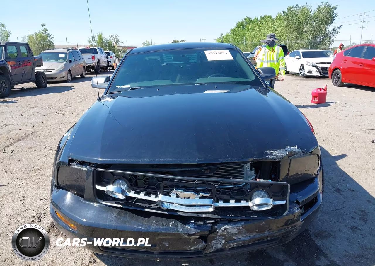 2008 Ford Mustang V6 Deluxe-V6 Premium VIN:1ZVHT80N885162605 - 12
