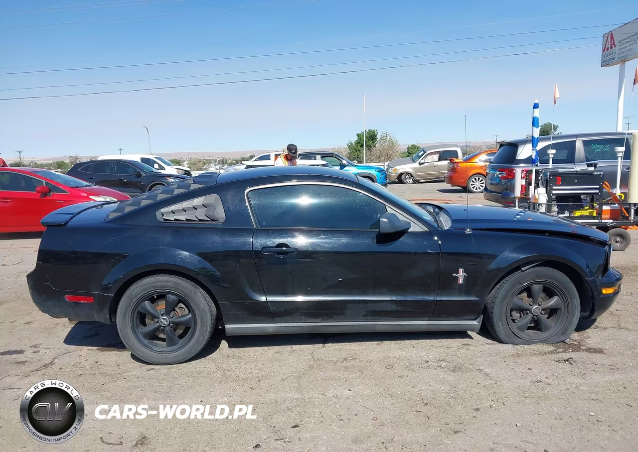 2008 Ford Mustang V6 Deluxe-V6 Premium VIN:1ZVHT80N885162605 - 13