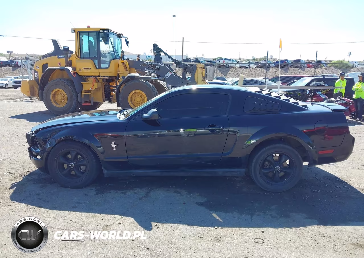 2008 Ford Mustang V6 Deluxe-V6 Premium VIN:1ZVHT80N885162605 - 14