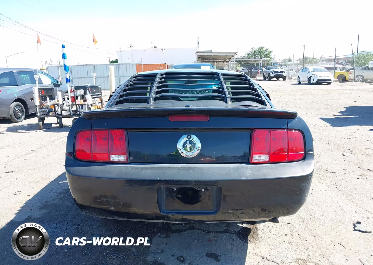 2008 Ford Mustang V6 Deluxe-V6 Premium VIN:1ZVHT80N885162605 - 16