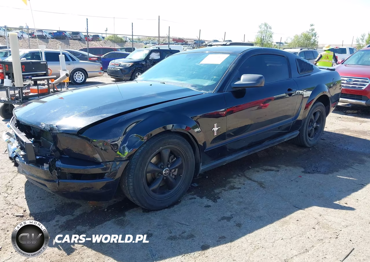 2008 Ford Mustang V6 Deluxe-V6 Premium VIN:1ZVHT80N885162605 - 2