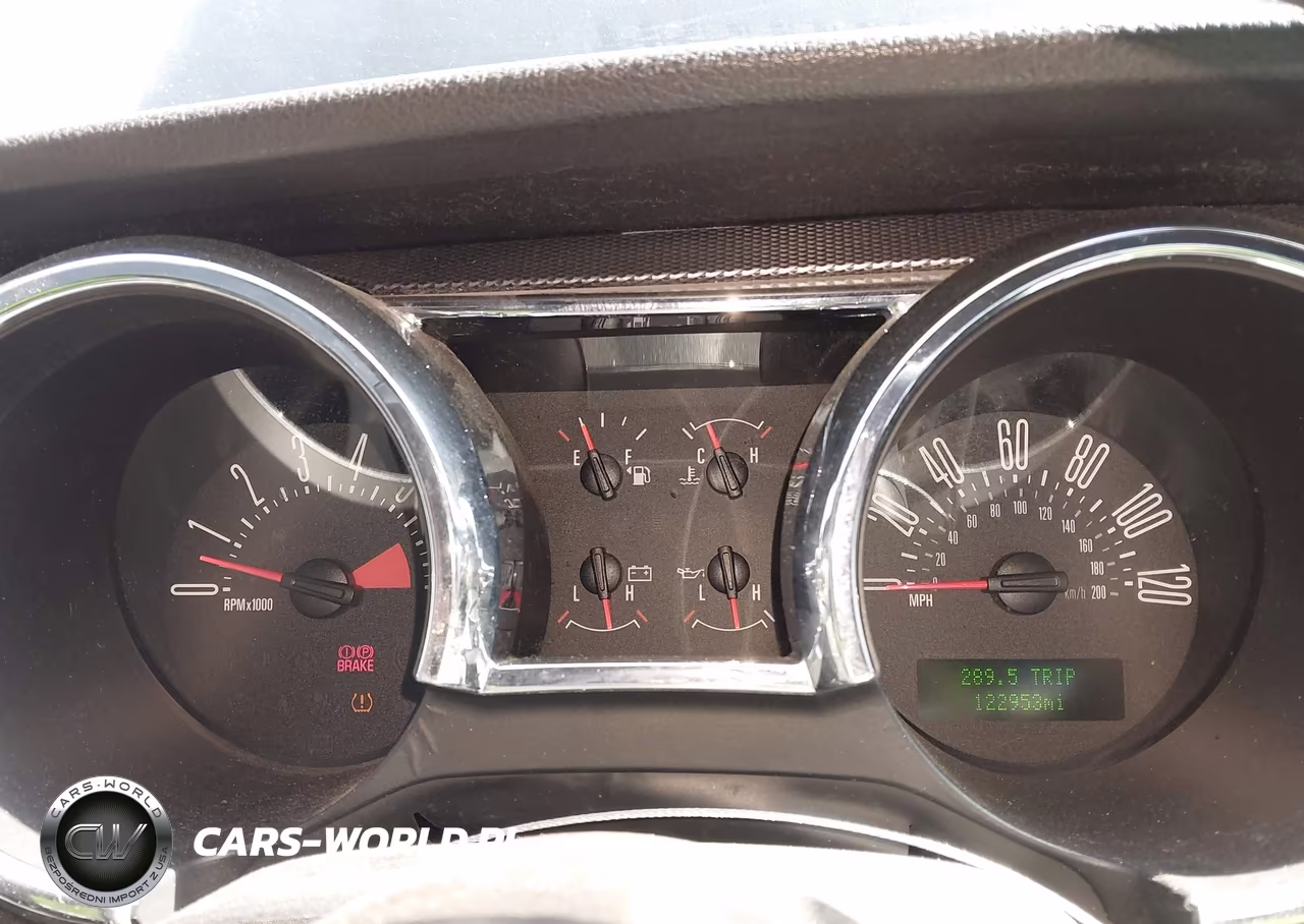 2008 Ford Mustang V6 Deluxe-V6 Premium VIN:1ZVHT80N885162605 - 7