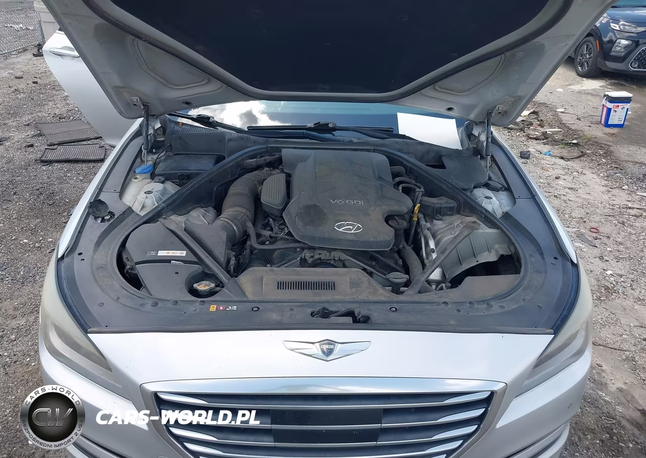 2015 Hyundai Genesis 3.8 VIN:KMHGN4JE9FU102346 - 10