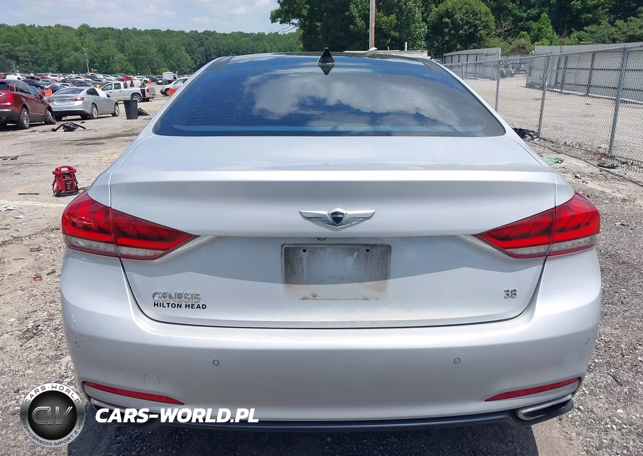 2015 Hyundai Genesis 3.8 VIN:KMHGN4JE9FU102346 - 16