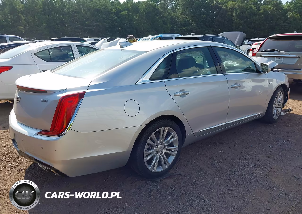 2019 Cadillac Xts Luxury VIN:2G61M5S3XK9150268 - 4