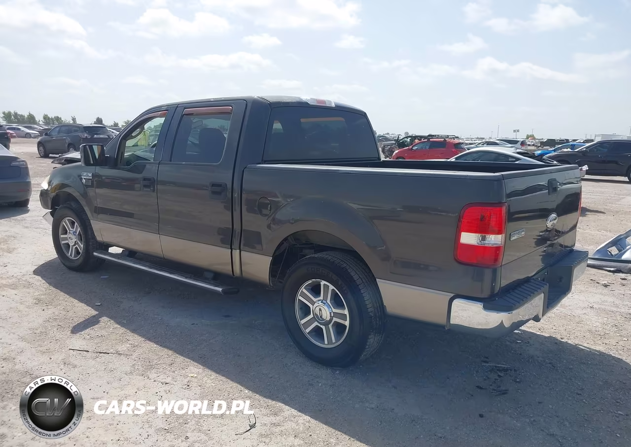 2006 Ford F-150 Xlt VIN:1FTRW12W46FB16904 - 3
