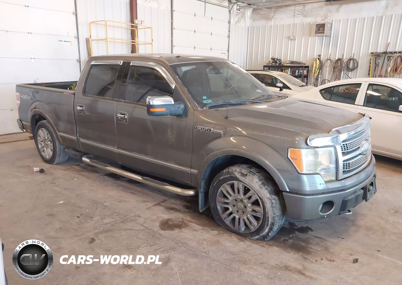 2009 Ford F-150 Platinum