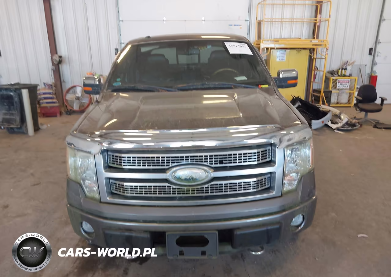 2009 Ford F-150 Platinum VIN:1FTPW14V89FA04462 - 12