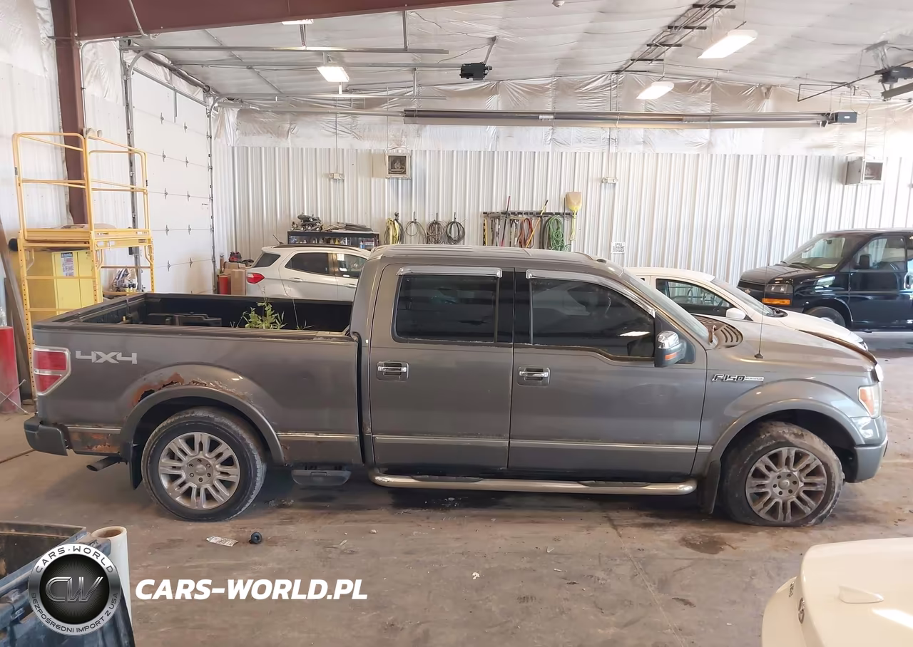 2009 Ford F-150 Platinum VIN:1FTPW14V89FA04462 - 13