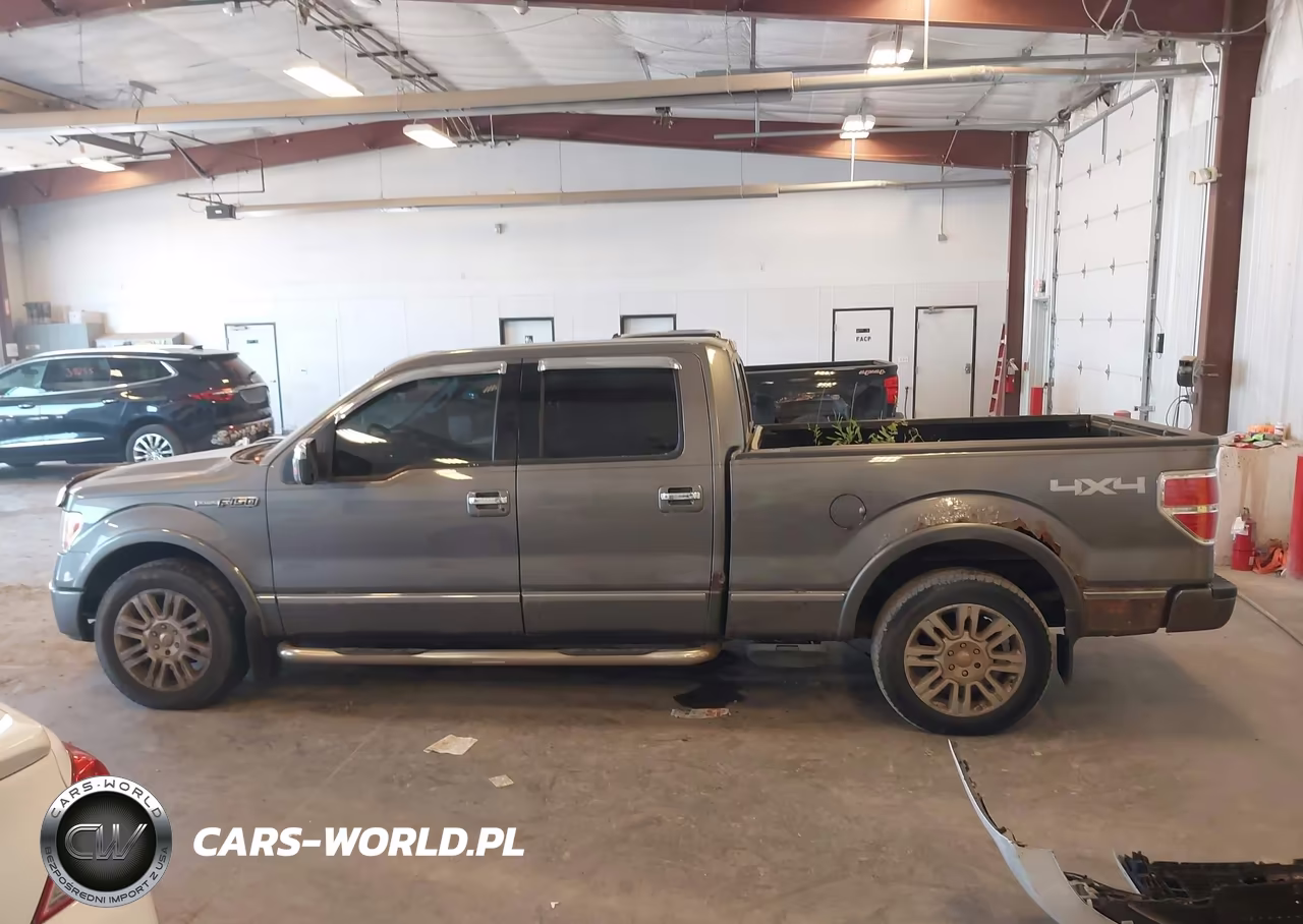 2009 Ford F-150 Platinum VIN:1FTPW14V89FA04462 - 14