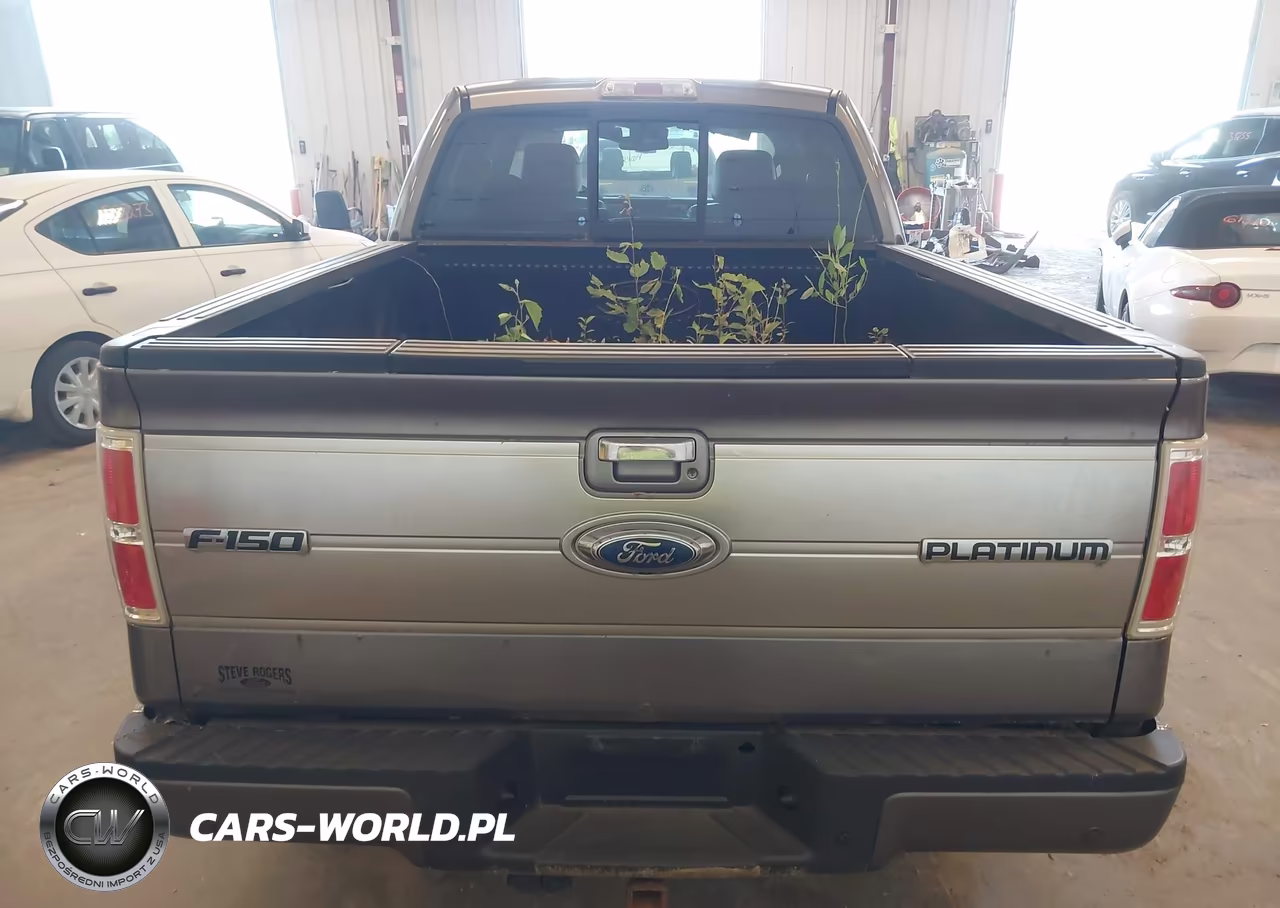 2009 Ford F-150 Platinum VIN:1FTPW14V89FA04462 - 16