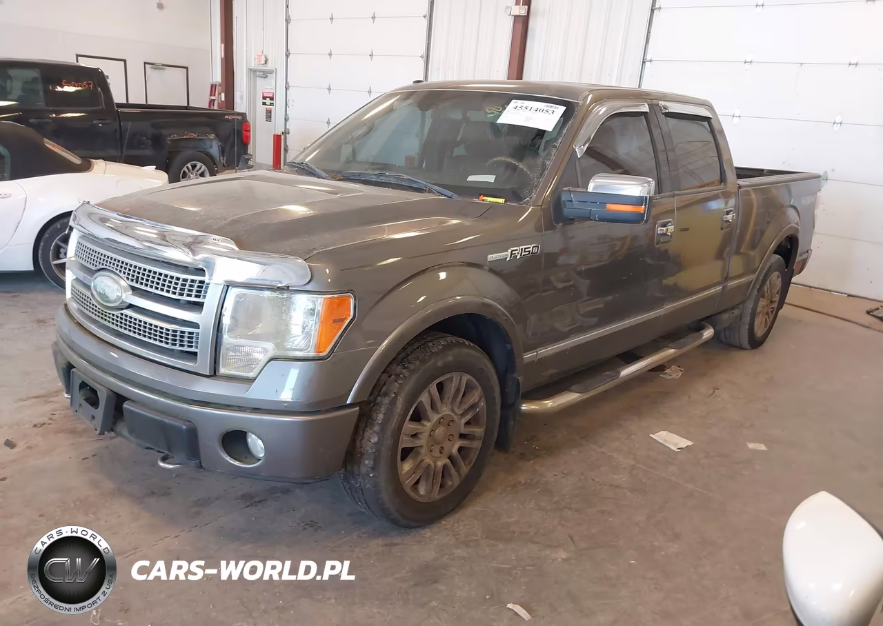 2009 Ford F-150 Platinum VIN:1FTPW14V89FA04462 - 2