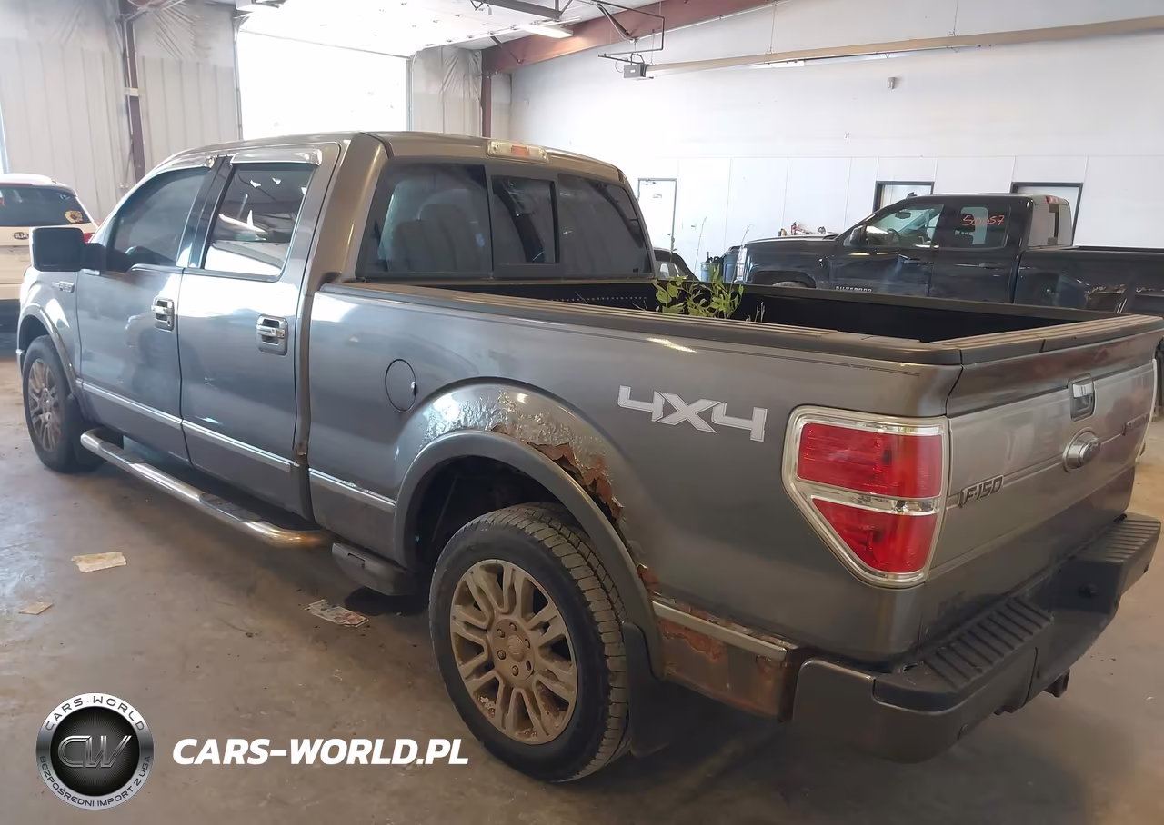 2009 Ford F-150 Platinum VIN:1FTPW14V89FA04462 - 3