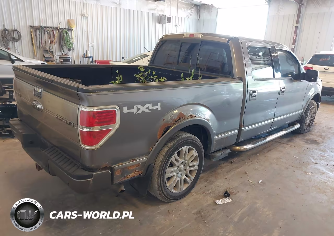 2009 Ford F-150 Platinum VIN:1FTPW14V89FA04462 - 4