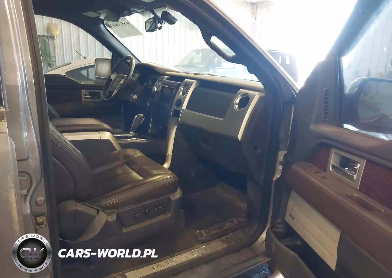 2009 Ford F-150 Platinum VIN:1FTPW14V89FA04462 - 5