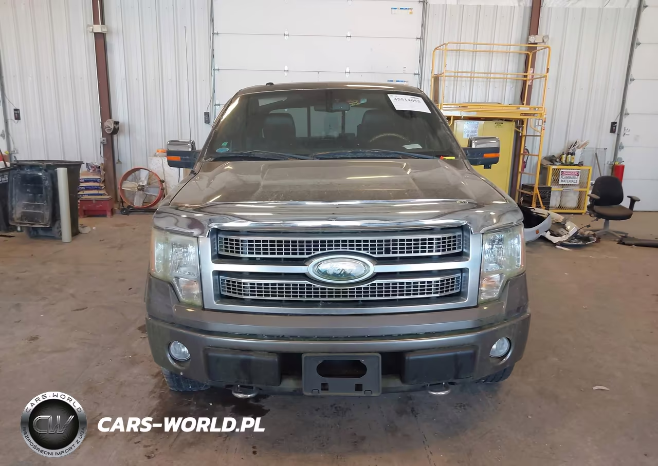 2009 Ford F-150 Platinum VIN:1FTPW14V89FA04462 - 6