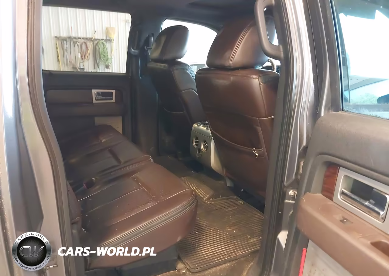 2009 Ford F-150 Platinum VIN:1FTPW14V89FA04462 - 8