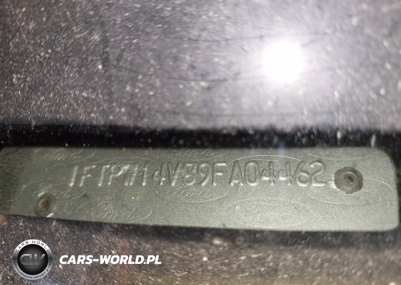 2009 Ford F-150 Platinum VIN:1FTPW14V89FA04462 - 9