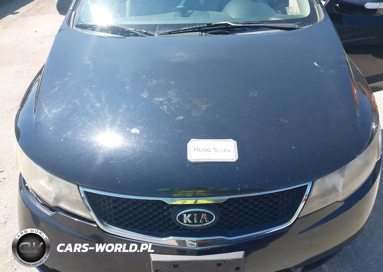 2010 Kia Forte Ex VIN:KNAFU4A29A5253583 - 10