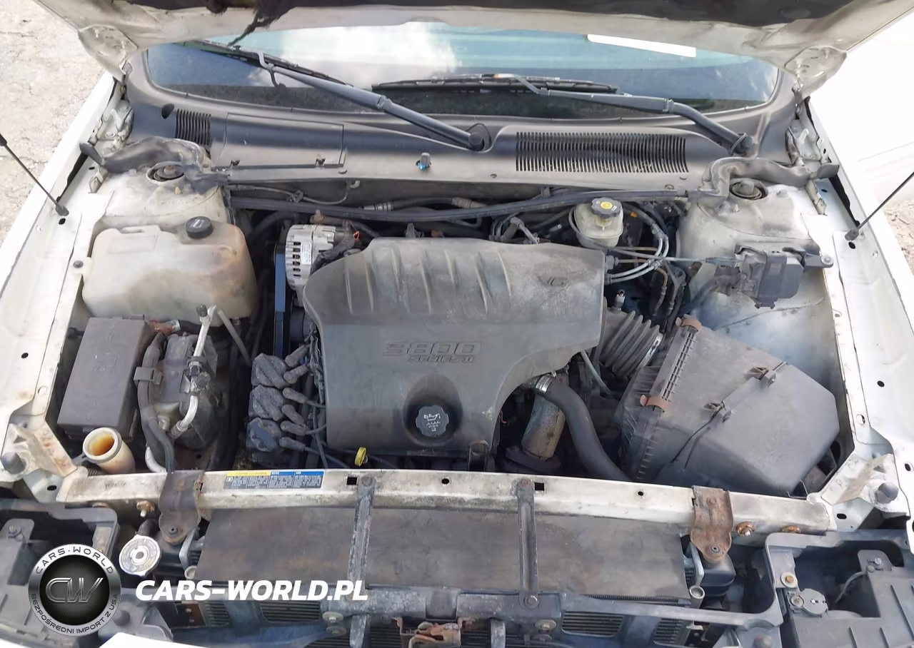 2004 Buick Lesabre Custom VIN:1G4HP52K44U141688 - 10
