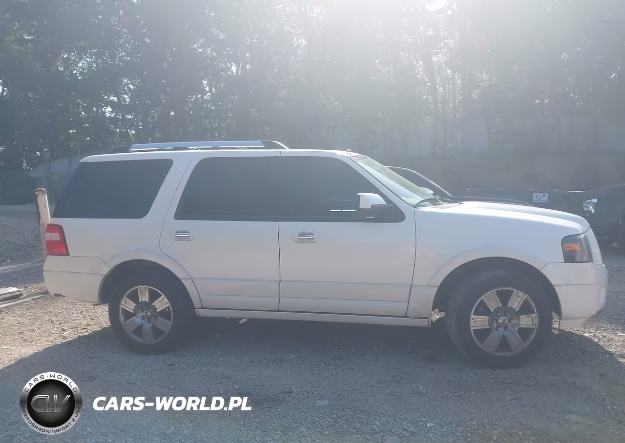 2010 Ford Expedition Limited VIN:1FMJU2A59AEB46346 - 13
