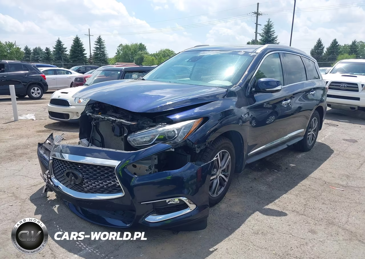 2019 Infiniti Qx60 Luxe-Pure VIN:5N1DL0MM9KC524184 - 2