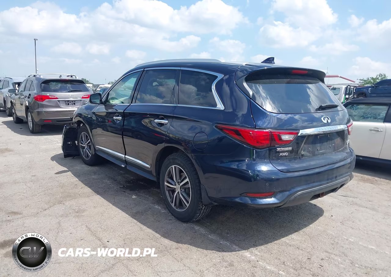 2019 Infiniti Qx60 Luxe-Pure VIN:5N1DL0MM9KC524184 - 3