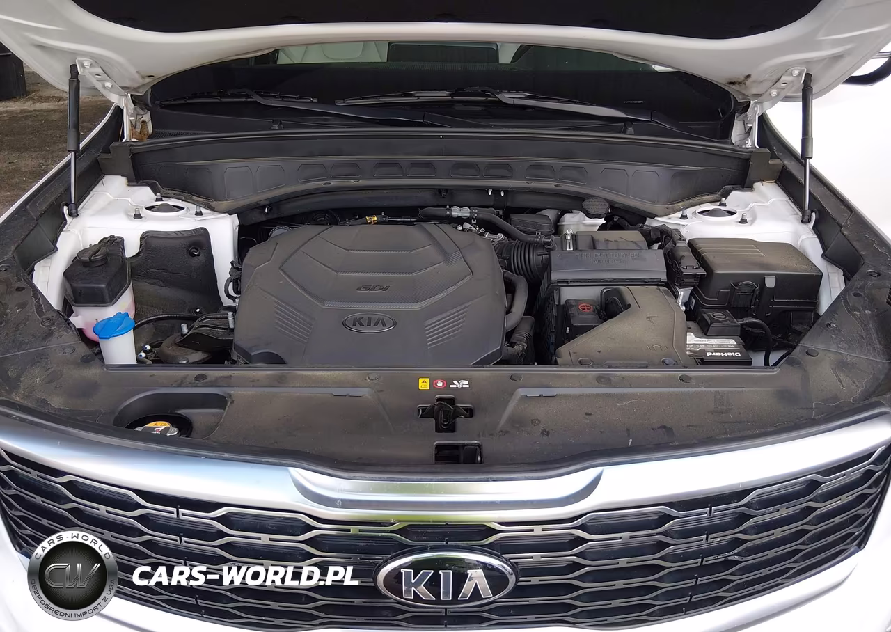 2021 Kia Telluride Ex VIN:5XYP34HC0MG180771 - 10