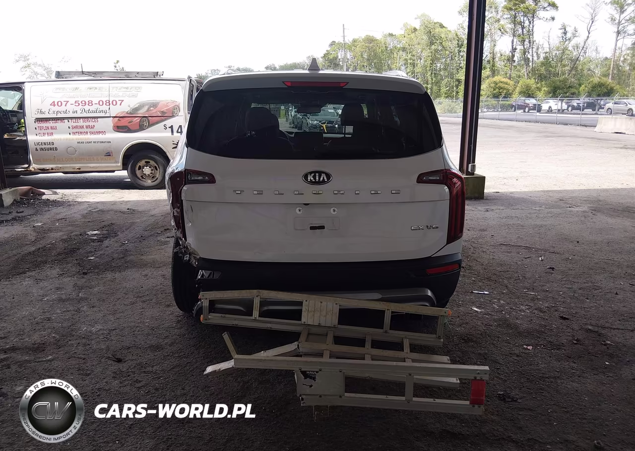 2021 Kia Telluride Ex VIN:5XYP34HC0MG180771 - 16