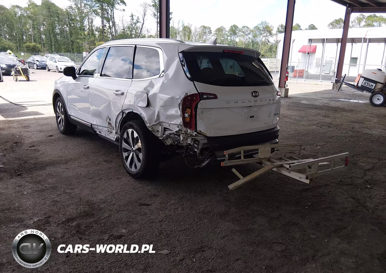 2021 Kia Telluride Ex VIN:5XYP34HC0MG180771 - 3