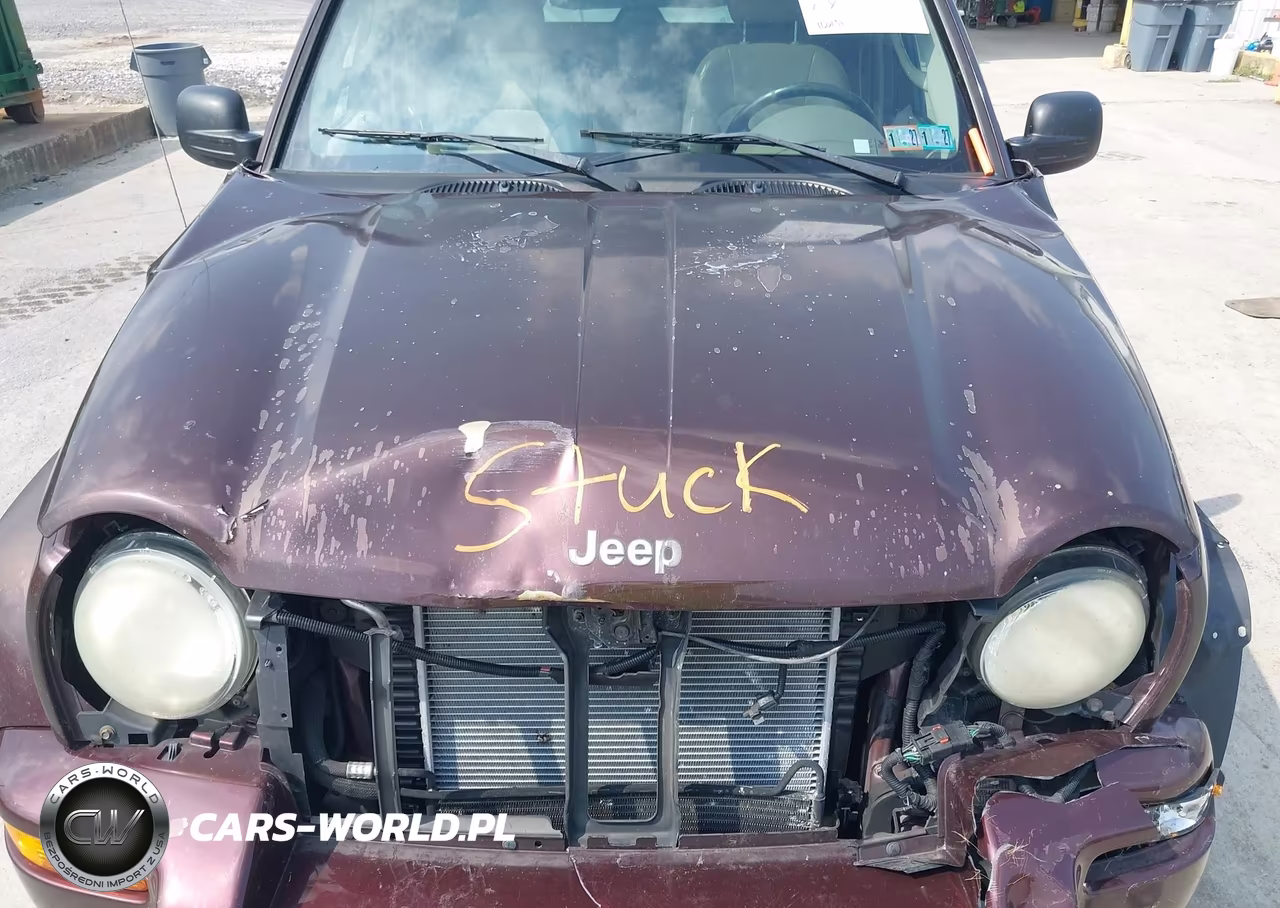 2004 Jeep Liberty Limited Edition VIN:1J4GL58KX4W212300 - 10
